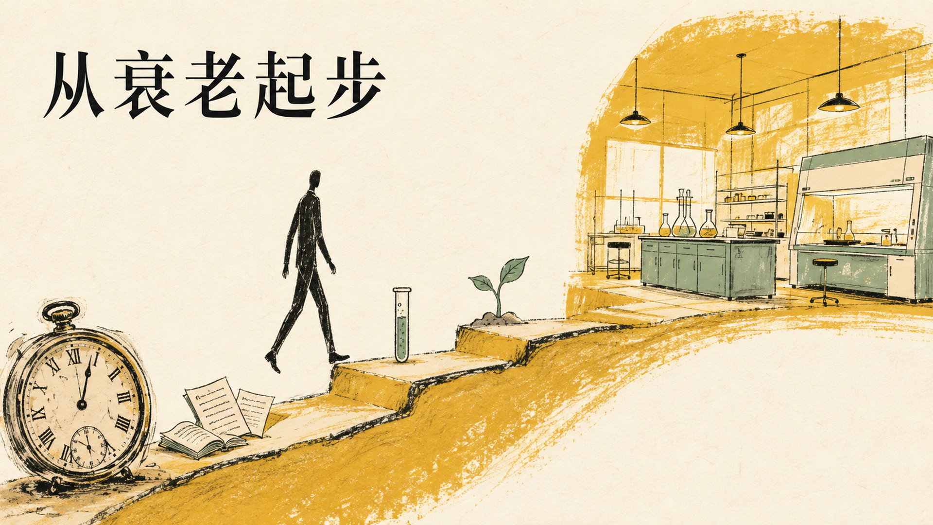 从衰老起步